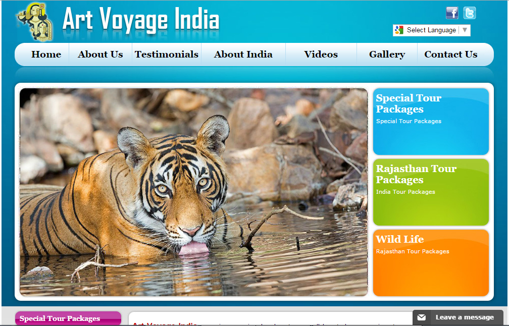 Art Voyage India